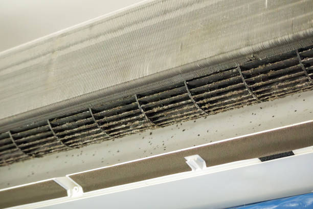 Best Residential Air Duct Cleaning  in Pearisburg, VA